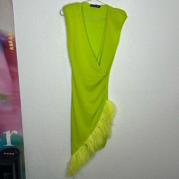 ANTONELLA RIZZA Eva Feather-Trim MIDI Dress Small - Picture 2 of 15